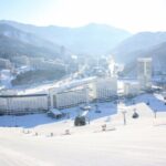 Naeba Express Bus - From/To Narita Airport and Tokyo Station - Authentic Experiences and Traveler Insights