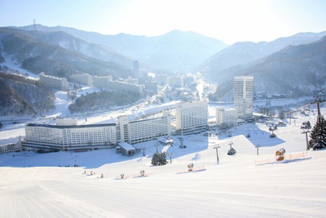Naeba Express Bus - From/To Narita Airport and Tokyo Station - Authentic Experiences and Traveler Insights