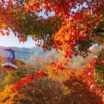 Naejangsan National Park Autumn Foliage One Day Tour from Seoul - FAQs