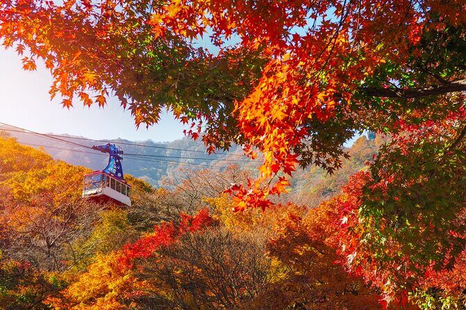 Naejangsan National Park Autumn Foliage One Day Tour from Seoul - FAQs