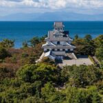 Nagahama Castle Town Half Day Walking Tour - Who Should Consider This Tour?