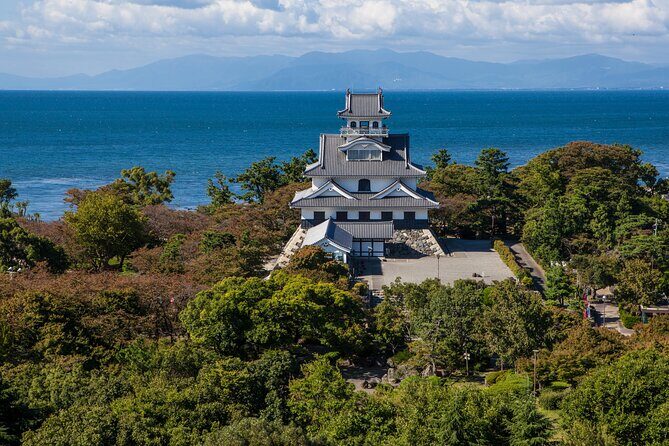 Nagahama Castle Town Half Day Walking Tour - Who Should Consider This Tour?