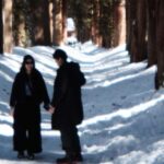 Nagano: Half-Day Private Tour Togakushi Shrine - Unique Charm in Every Season