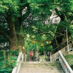 Nagasaki Peace Park and Atomic Bomb Museum - Why This Tour Offers Good Value