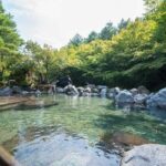 Nagashima Mitsui Park and Nagashima Hot Spring One Day Tour - Why This Tour Really Works