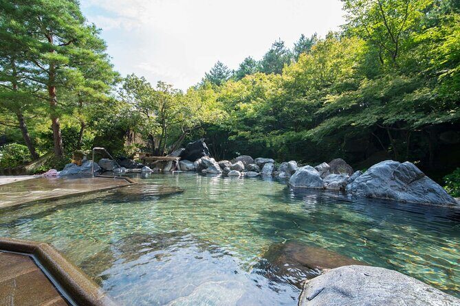Nagashima Mitsui Park and Nagashima Hot Spring One Day Tour - Why This Tour Really Works