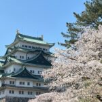 Nagoya: Best & Hidden Gems Private Guided Tour - Practical Details & What to Expect