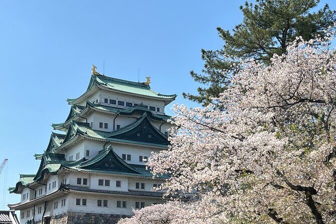Nagoya: Best & Hidden Gems Private Guided Tour - Practical Details & What to Expect