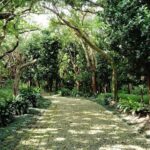 Naha: Walk Through Shikinaen, a Historic Royal Garden - Discovering Shikinaen: A Blend of Cultures and History