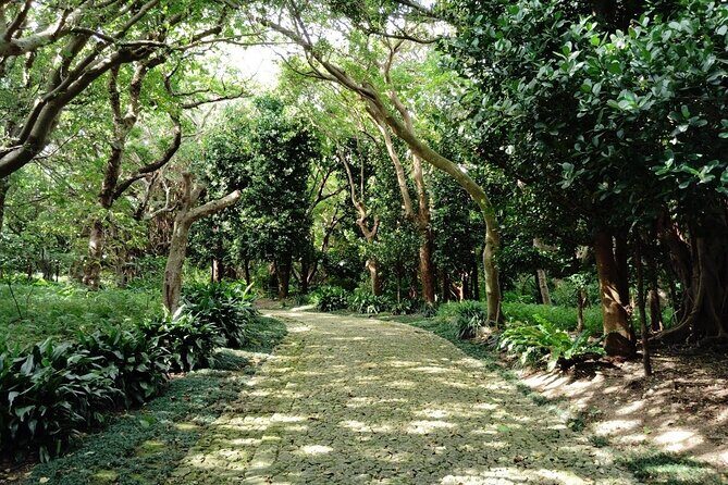 Naha: Walk Through Shikinaen, a Historic Royal Garden - Discovering Shikinaen: A Blend of Cultures and History