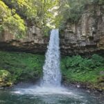 Naka-Izu:2Days Gourmet Journey Wasabi, Wine, Tea, Glamping - Exploring Japan’s Unique Food and Scenic Culture