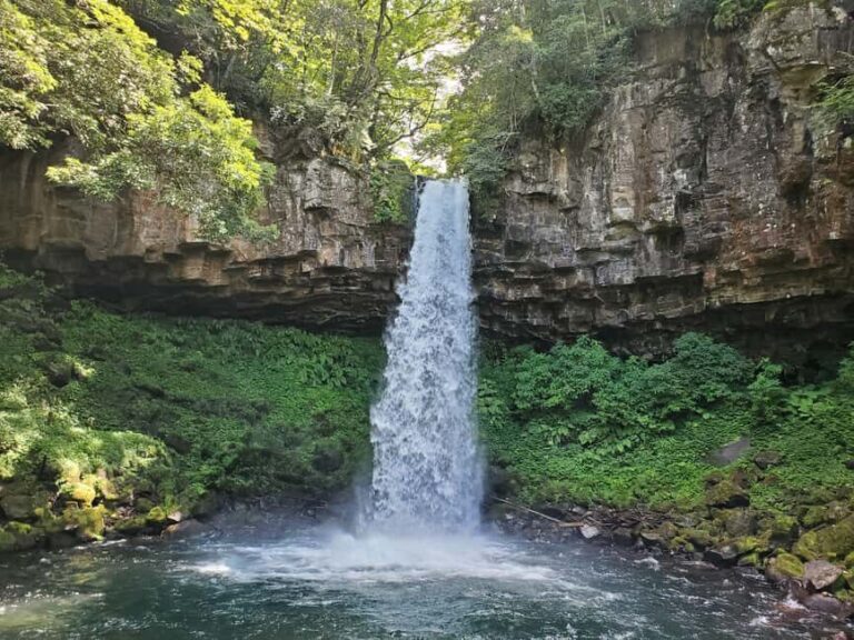 Naka-Izu:2Days Gourmet Journey Wasabi, Wine, Tea, Glamping - Exploring Japan’s Unique Food and Scenic Culture