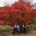 Nakasendo Magome Private Hiking Tour  Guide & Car from Nagoya - The Sum Up: Who Should Book This?