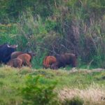 Nam Cat Tien National Park 2-Day Tour with Lodging, Meals.. - Considerations and Who This Tour Suits