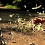 Nam Cat Tien National Park 2 Days 1 Night - Private Tour - Who Would Enjoy This Tour?