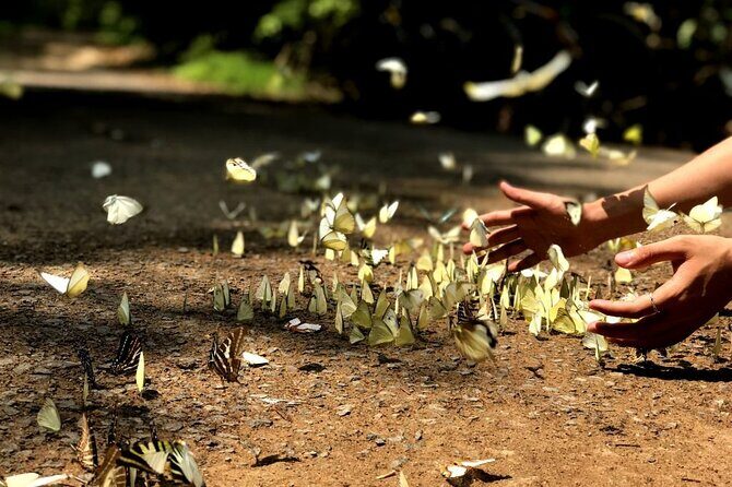 Nam Cat Tien National Park 2 Days 1 Night - Private Tour - Who Would Enjoy This Tour?