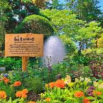 Nami Island from Seoul One Day Trip - The Sum Up