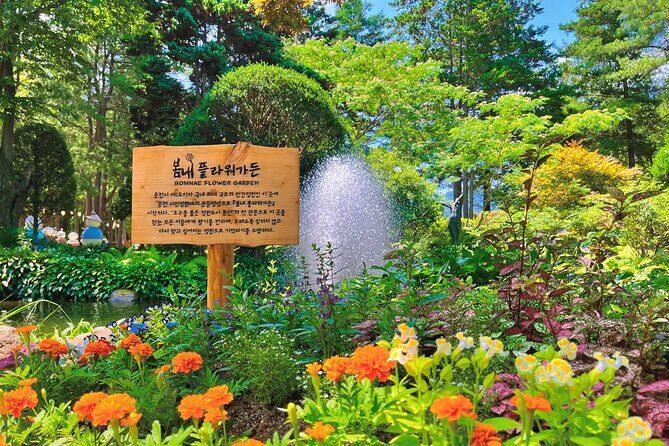 Nami Island from Seoul One Day Trip - The Sum Up