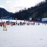Nami Island + Ski Tour - Final Thoughts: Is It Worth It?
