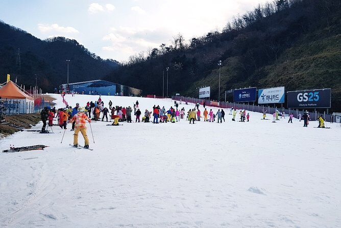 Nami Island + Ski Tour - Final Thoughts: Is It Worth It?