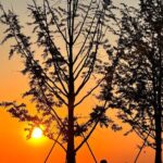 Nanjing Professional and Private English Tour Guide Service - A Closer Look at the Nanjing Private Tour Experience