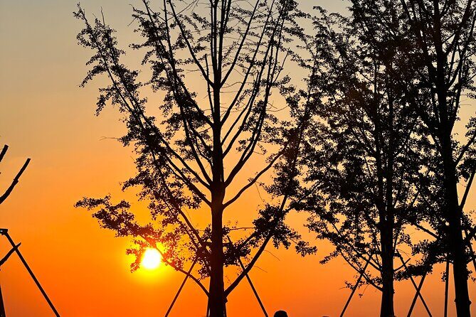 Nanjing Professional and Private English Tour Guide Service - A Closer Look at the Nanjing Private Tour Experience