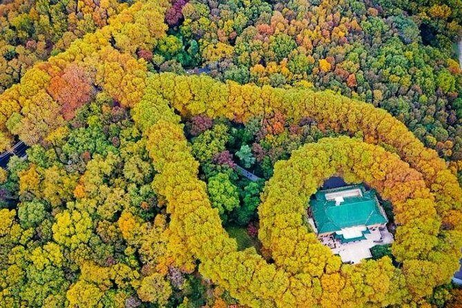 Nanjing Purple Mountain Private Tour with Tangshan Hot Spring Spa Experience - Frequently Asked Questions