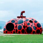 Naoshima Full Day Private Tour from Takamatsu - A Detailed Look at the Naoshima Private Tour