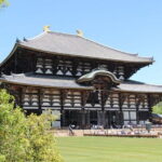 Nara Day Trip from Osaka with a Licensed Guide - Practical Considerations