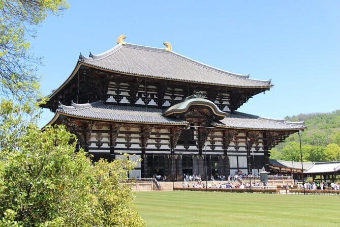 Nara Day Trip from Osaka with a Licensed Guide - Practical Considerations
