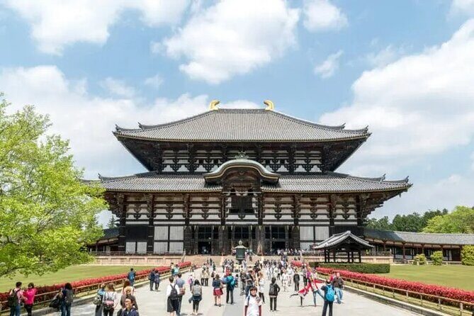 Nara Day Trip with Deer Park & Historic Temples,Shrine from Osaka - FAQ
