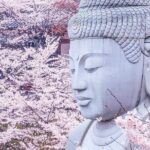 Nara: Discover a Giant Stone Buddha in the Forest Hills - Is This Tour Worth It?