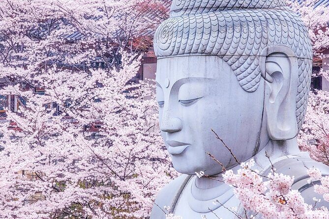 Nara: Discover a Giant Stone Buddha in the Forest Hills - Is This Tour Worth It?