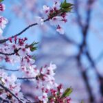 Nara: Enjoy Highlight Of Nara in 3 hours - What We Like and Consider