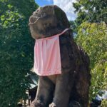 Nara: Essential Private Tour with Deer Park and Temples - Final Thoughts