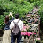 Nara: Explore Hasederas Giant Kannon and Cliffside Temple - A Deep Dive into the Nara Experience: Visiting Hasedera and Hoki-in