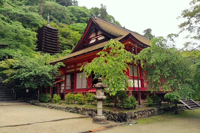 Nara: Explore Tanzan Shrines Pagoda and Sacred History - Who Is This Tour Best Suited For?
