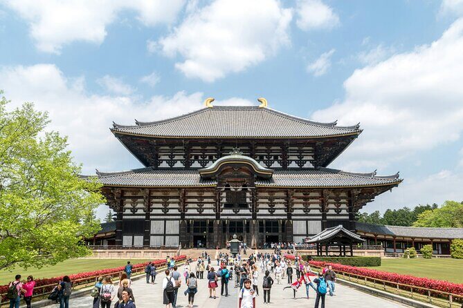 Nara Heritage Walkabout from Nara Park to Todaji Temple - What Makes This Tour Stand Out