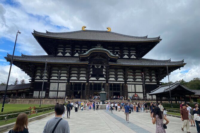 Nara Highlights Guided Tour by Private Car from Osaka - The Sum Up