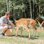 Nara Personalized Half Day Food Tour with a Local Guide - Exploring Nara Through Food and Culture
