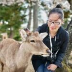 Nara Private Car City Tour - Final Thoughts: Is It Worth It?