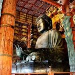 Nara, Todaiji Temple and Kuroshio Market One Day Tour from Osaka - Practical Considerations and What to Expect