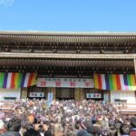 Narita Airport Layover Transit: Guided Private Tour - Who Will Appreciate This Tour?