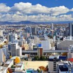 Narita Airport to Nagoya City Japan Private Transfer - Who Should Consider This Service?