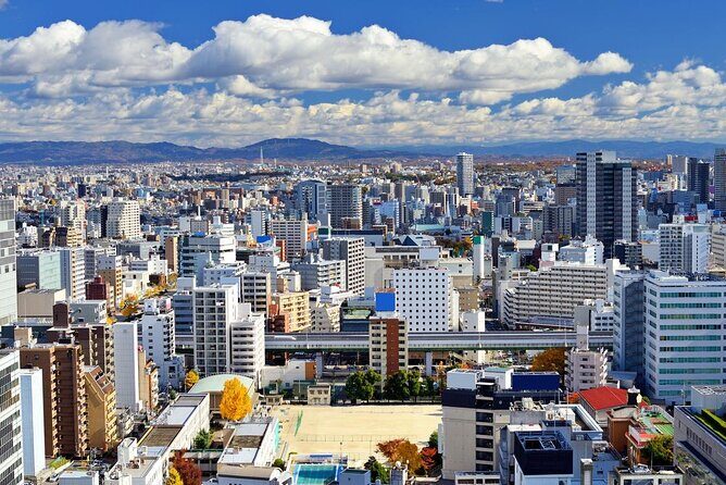 Narita Airport to Nagoya City Japan Private Transfer - Who Should Consider This Service?