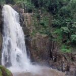Natural Park Khao Yai with Mr Nong - A Full Day in Khao Yai: What to Expect