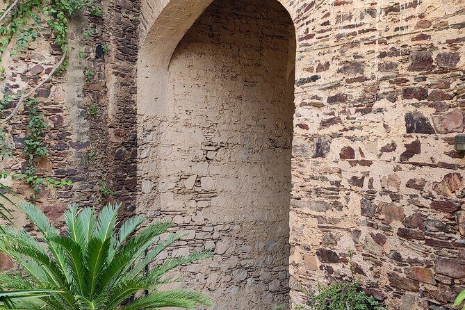 Neemrana Fort visit with Lunch From Delhi - What Makes Neemrana Fort Special?