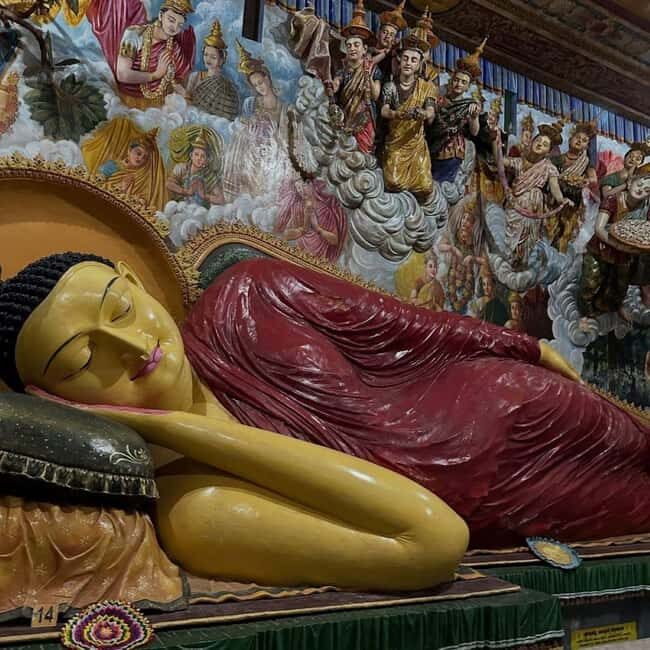 Negombo by Scooty: Ride Through the Citys Best Spots - Final Thoughts