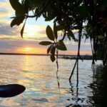 Negombo: Kayaking in the Lagoon - A Detailed Look at the Kayaking Experience in Negombo Lagoon
