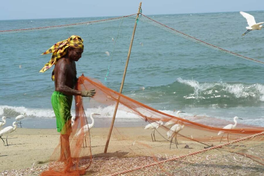 Negombo Private Tour: Market, Temples & Canal